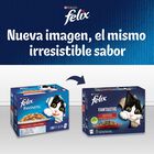 Felix Fantastic Carne en Gelatina sobre  - Multipack, , large image number null